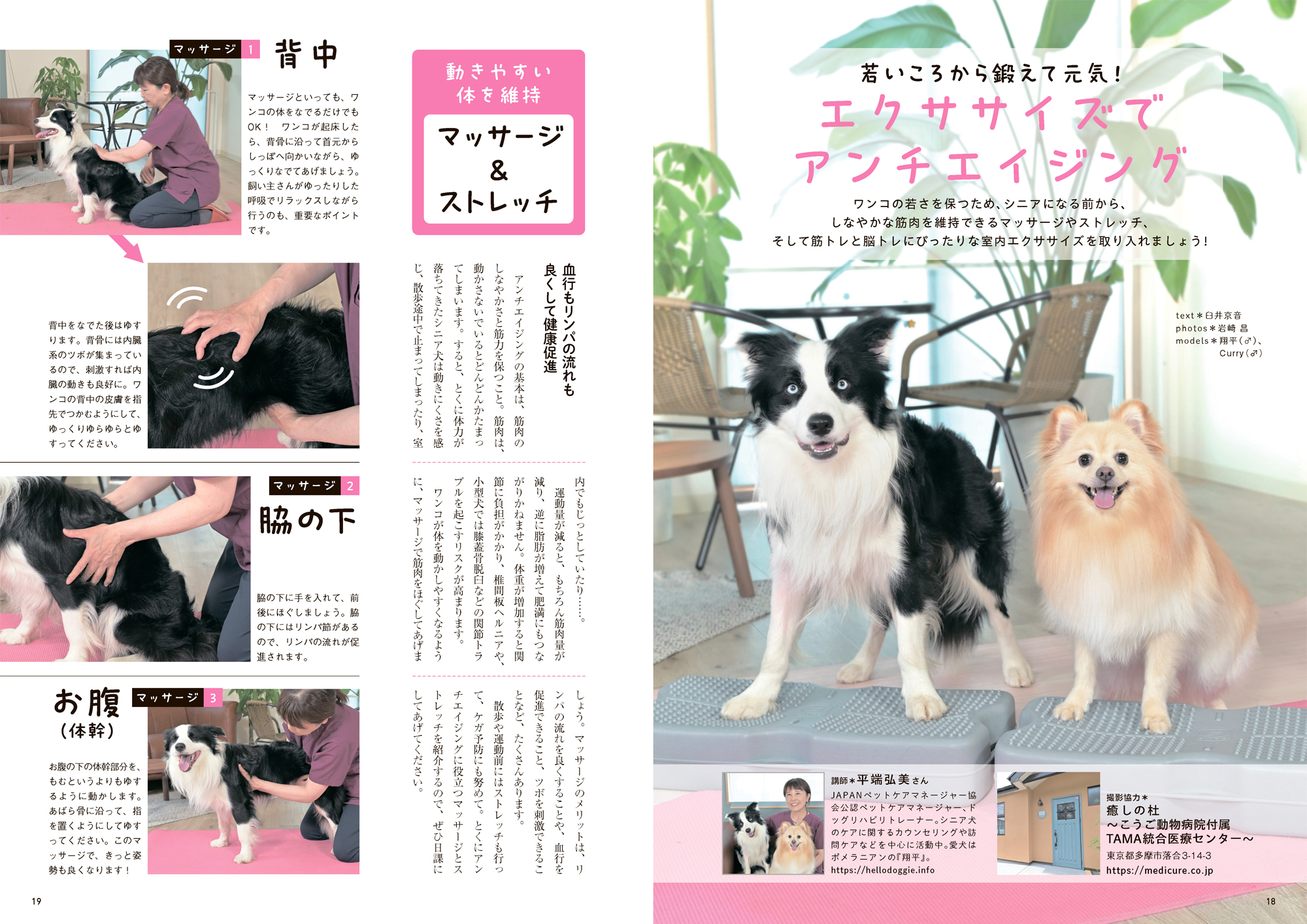 tokyo hot e742 Wan 2024年10月号＜秋号＞