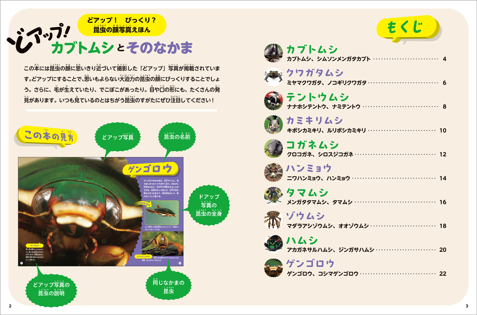 ⭐️こうちゅう : カブトムシとそのなかまたち こうちゅう: カブトムシとそのなかまたち (みるずかん・かんじる