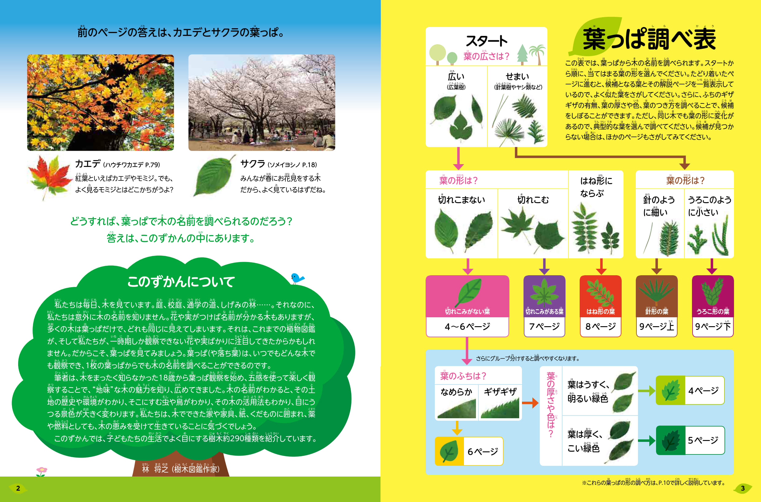 見る知る考えるずかん 五感で調べる 木の葉っぱずかん